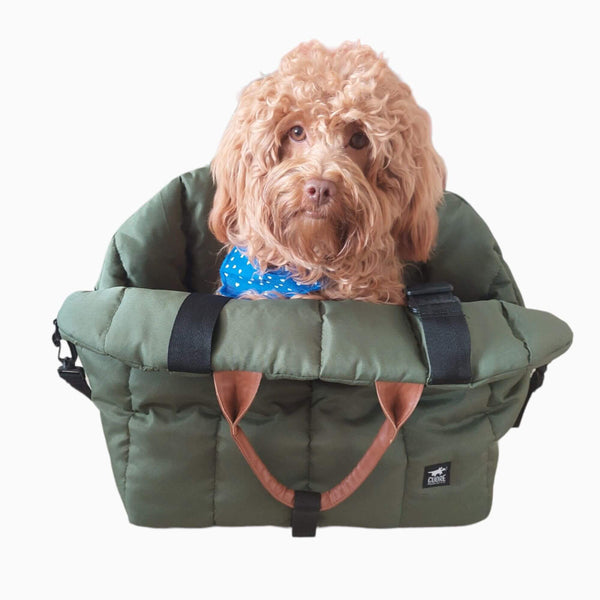 Bolso para transportar mascotas verde