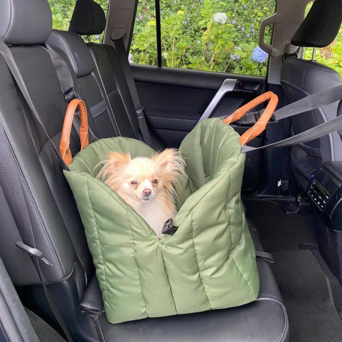 Bolso para transportar mascotas verde