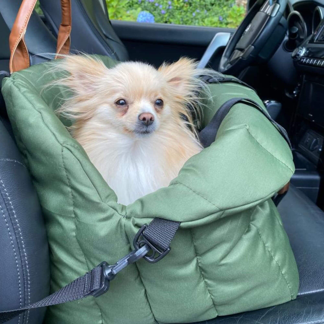 Bolso para transportar mascotas verde