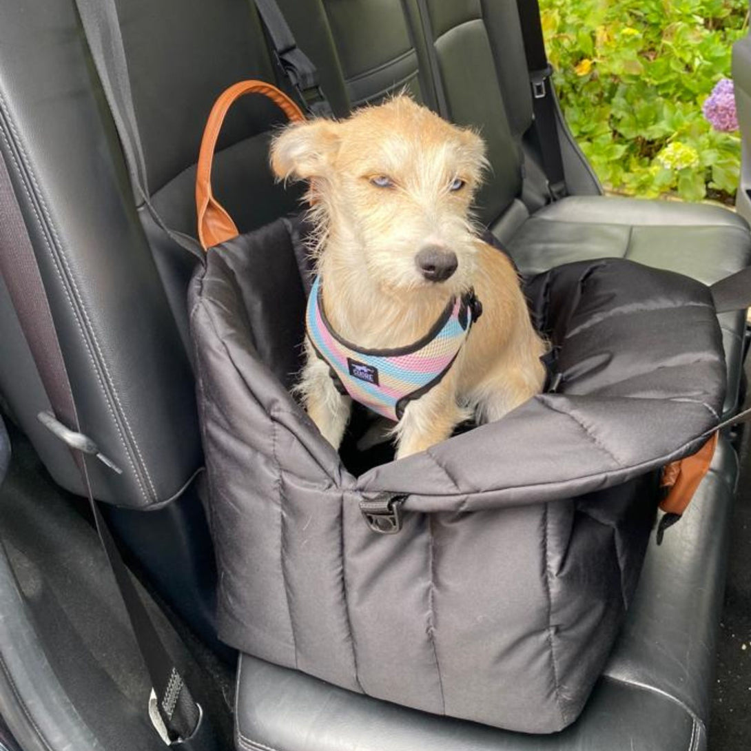 Bolso para transportar mascotas negro