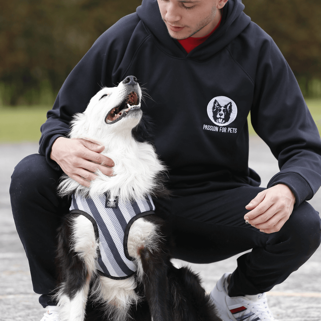 Buzo negro unisex con bordado de Border Collie blanco