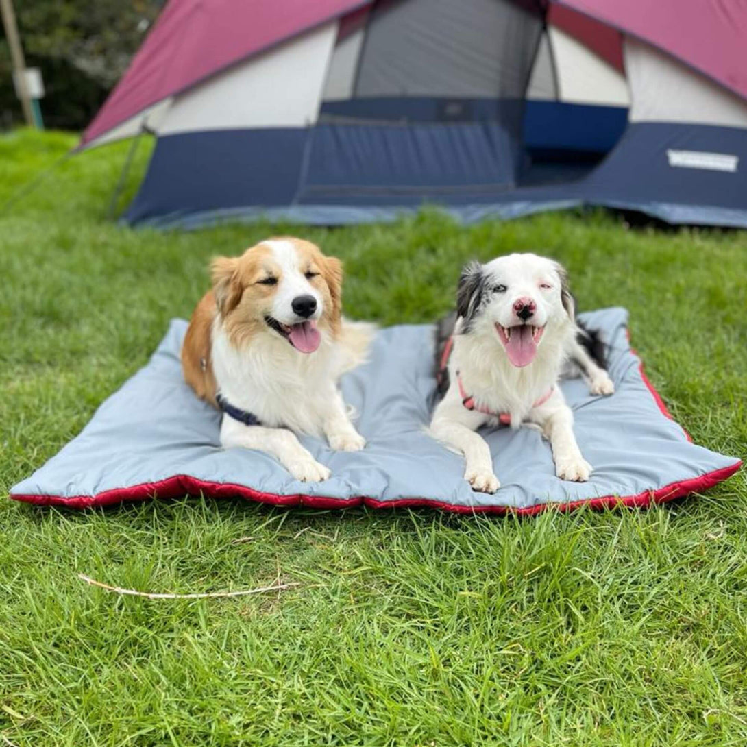 Mat para perros rojo