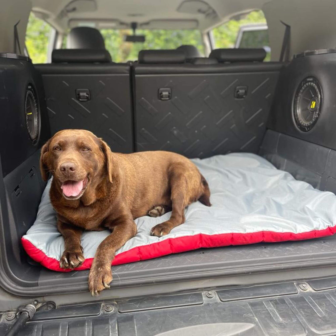 Mat para perros rojo